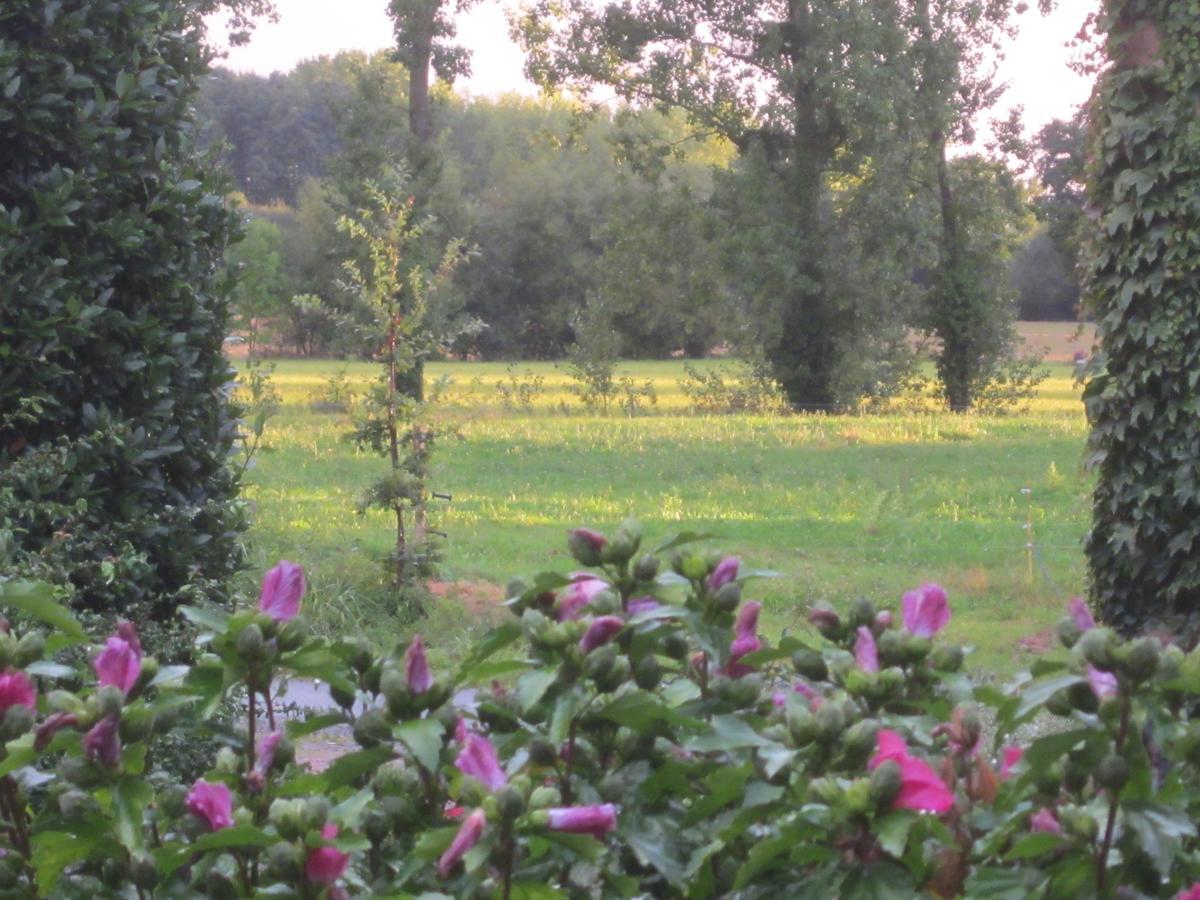 Domaine De La Fontaine Bed and Breakfast Chavagne Exterior foto